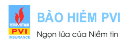Logo Bảo hiểm xe ô tô 2 chiều PVI