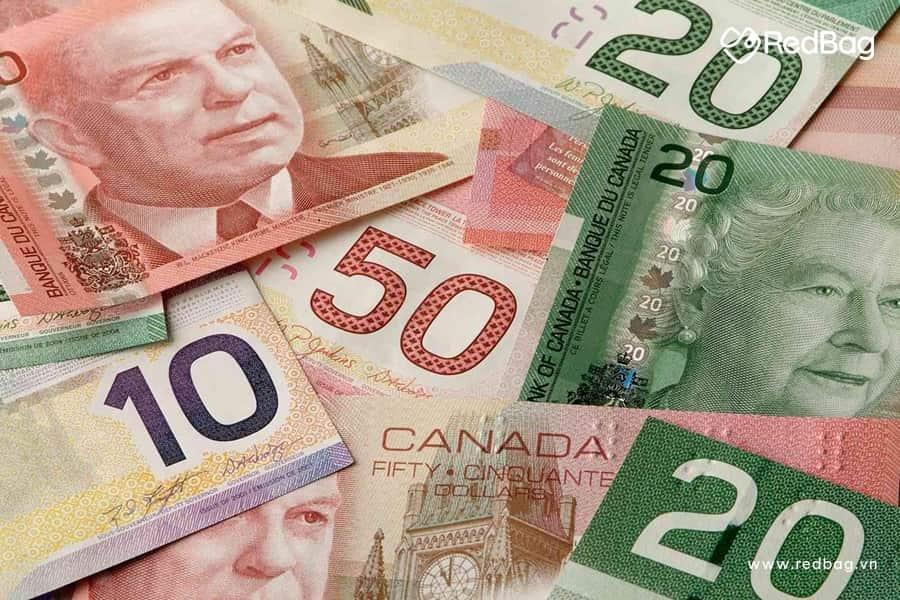 Tỷ giá Đô Canada | Giá CAD chợ đen & cách đổi tiền Canada ra tiền Việt